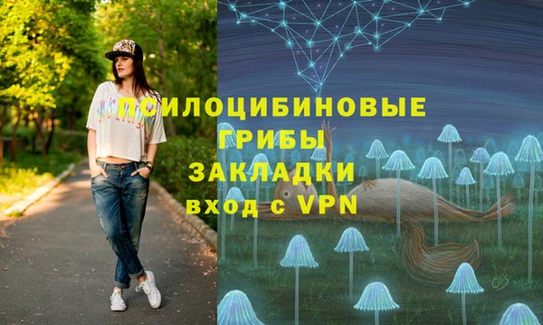 хмурый Медвежьегорск