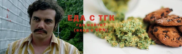 крисы Мегион