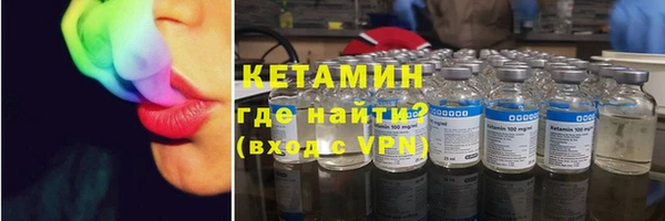 крисы Мегион