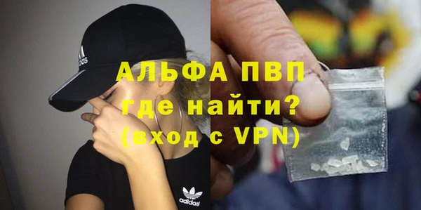 крисы Мегион