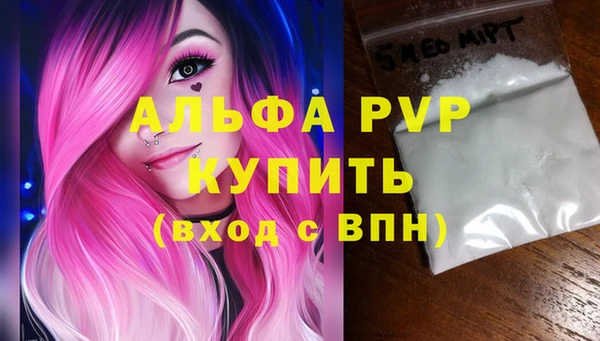 спиды Бежецк