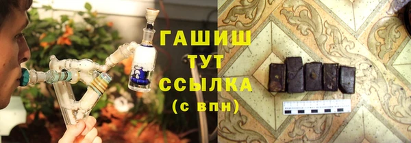 крисы Мегион
