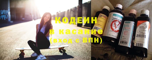 крисы Мегион