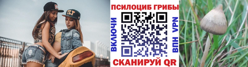 Галлюциногенные грибы MAGIC MUSHROOMS  Приморск 